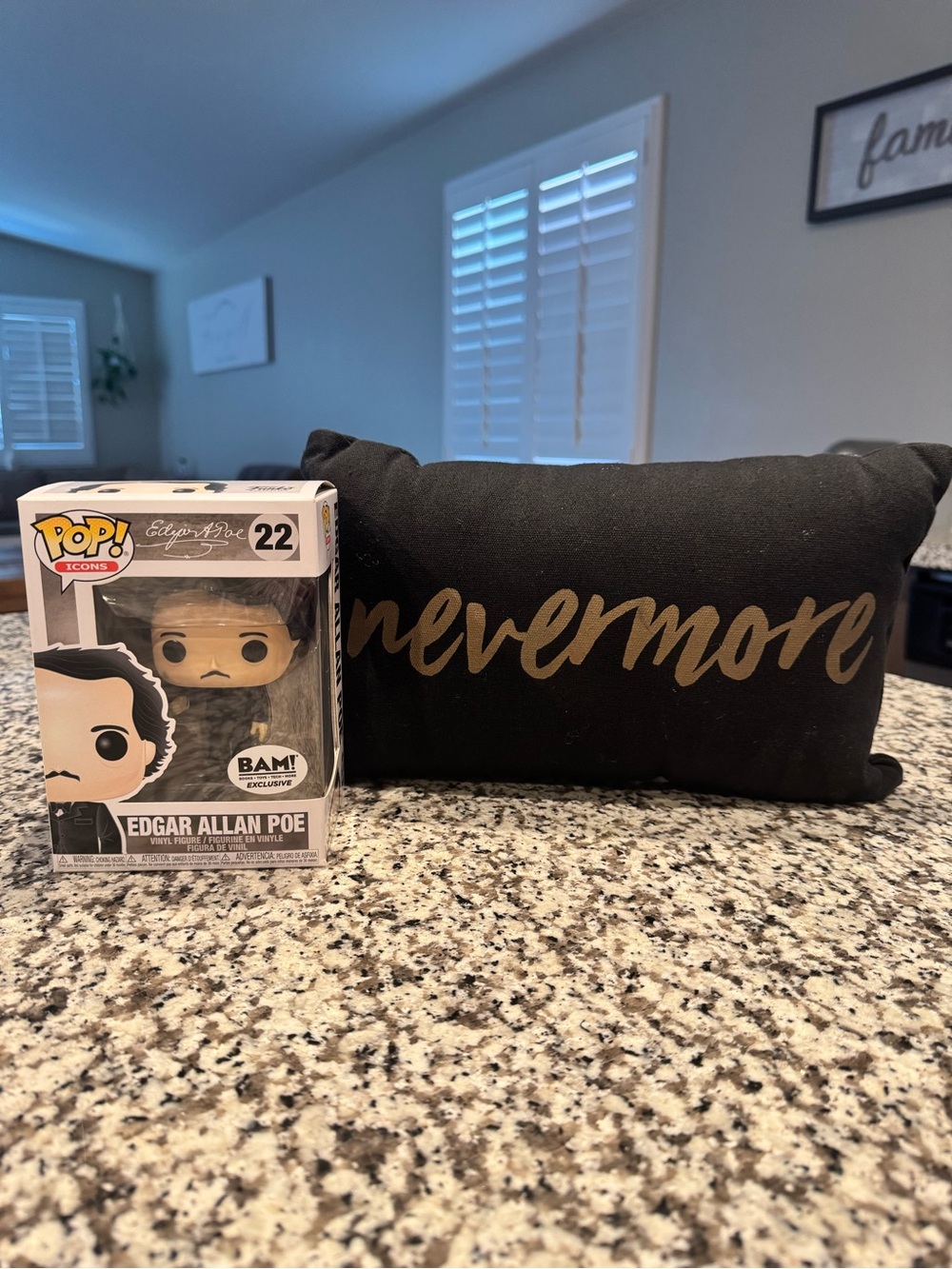 Edgar Allan Poe Funko Pop #22 and Pillow - Picture 3 of 6